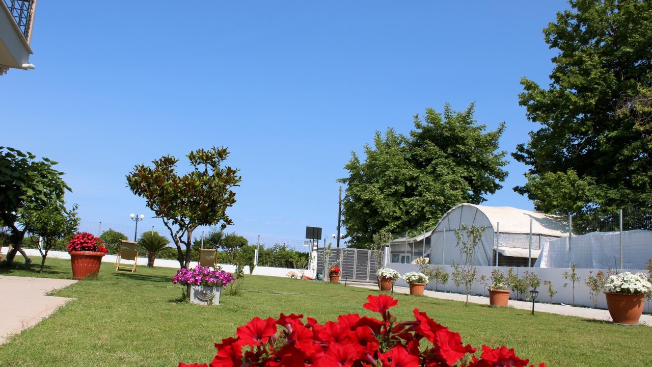 Photo of Outdoor in Skotina