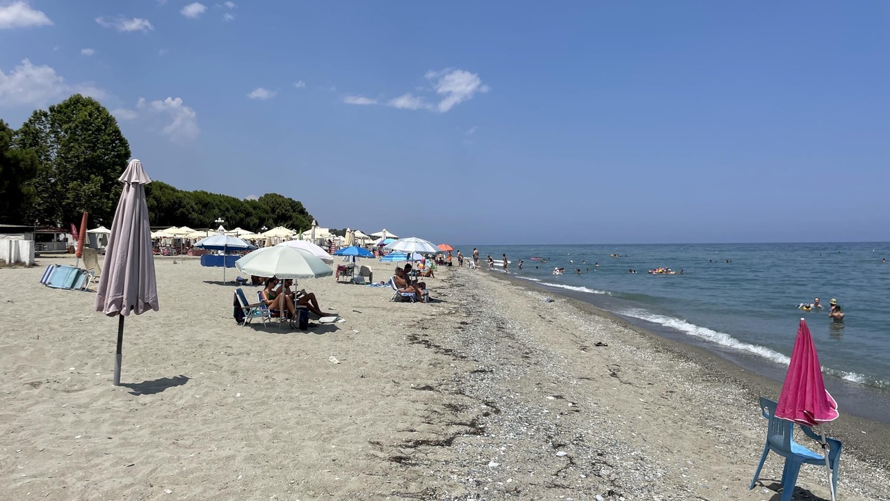 Photo of Others in Skotina