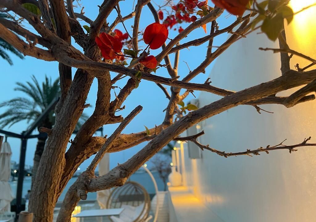 Photo of Outdoor in Ayia Fotia