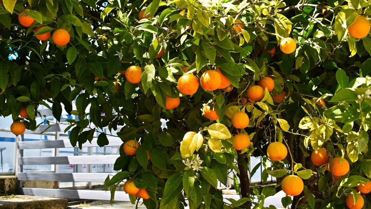 Photo of Outdoor in Kalamos