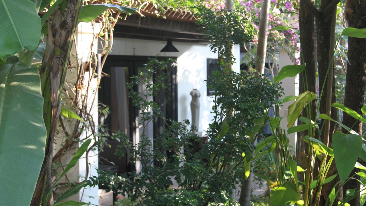 Photo of Outdoor in Wat Bo Area