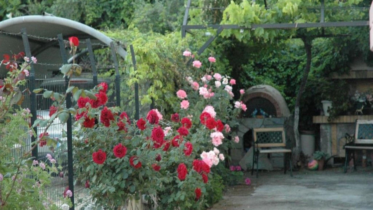 Photo of Outdoor in Patras