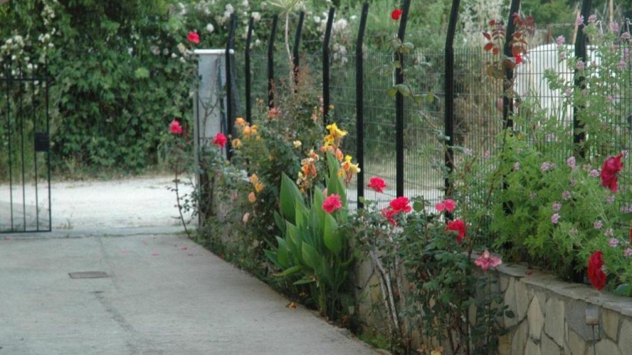 Photo of Outdoor in Patras