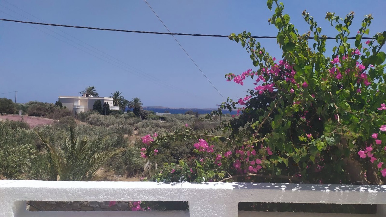 Photo of Outdoor in Sitia