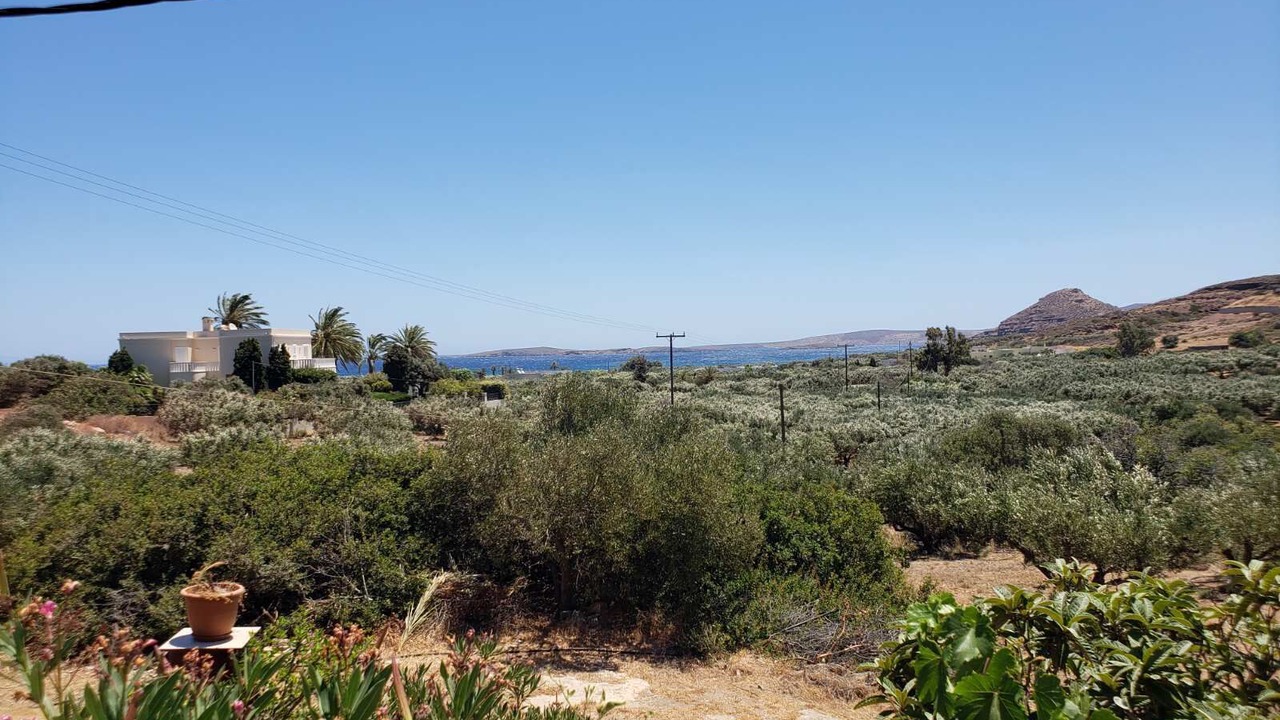 Photo of Others in Sitia