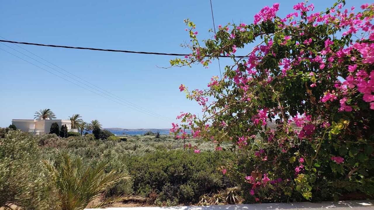 Photo of Others in Sitia
