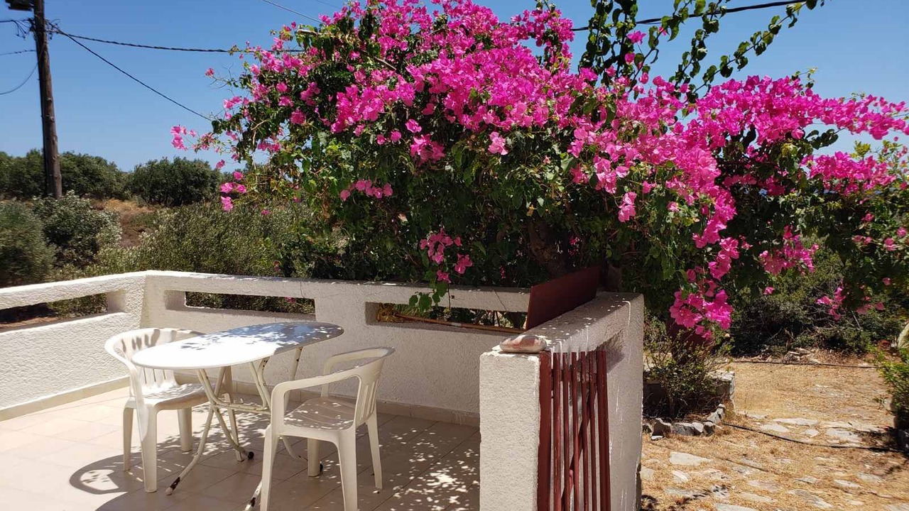 Photo of Outdoor in Sitia