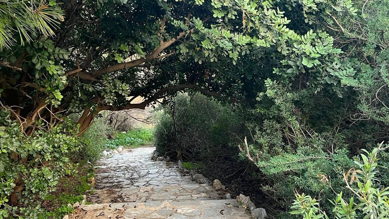 Photo of Outdoor in Rafina-Pikermi