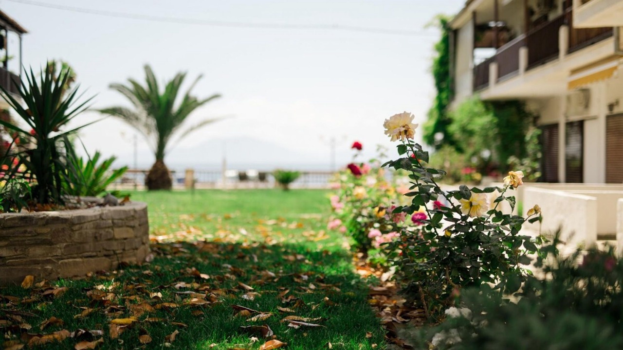 Photo of Outdoor in Ano Lechonia