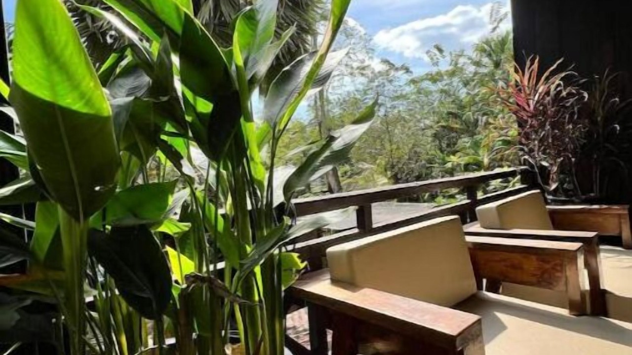 Photo of Outdoor in Siem Reap