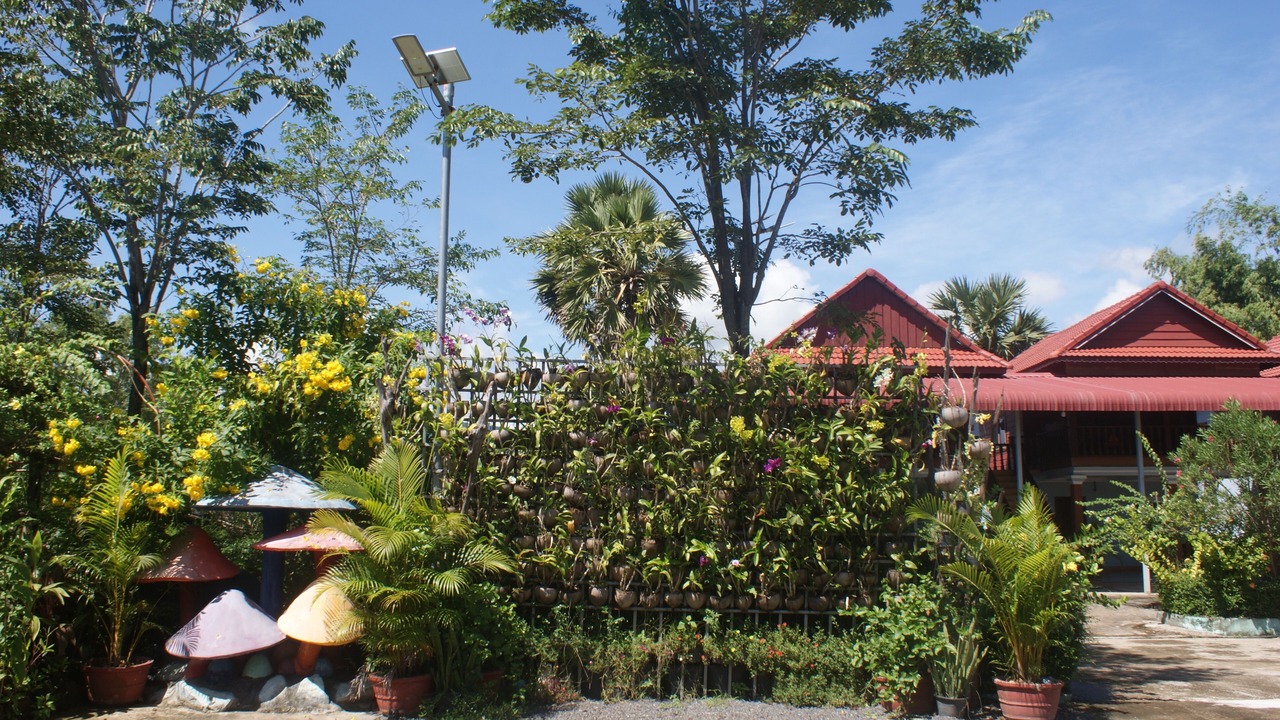 Photo of Outdoor in Kampot