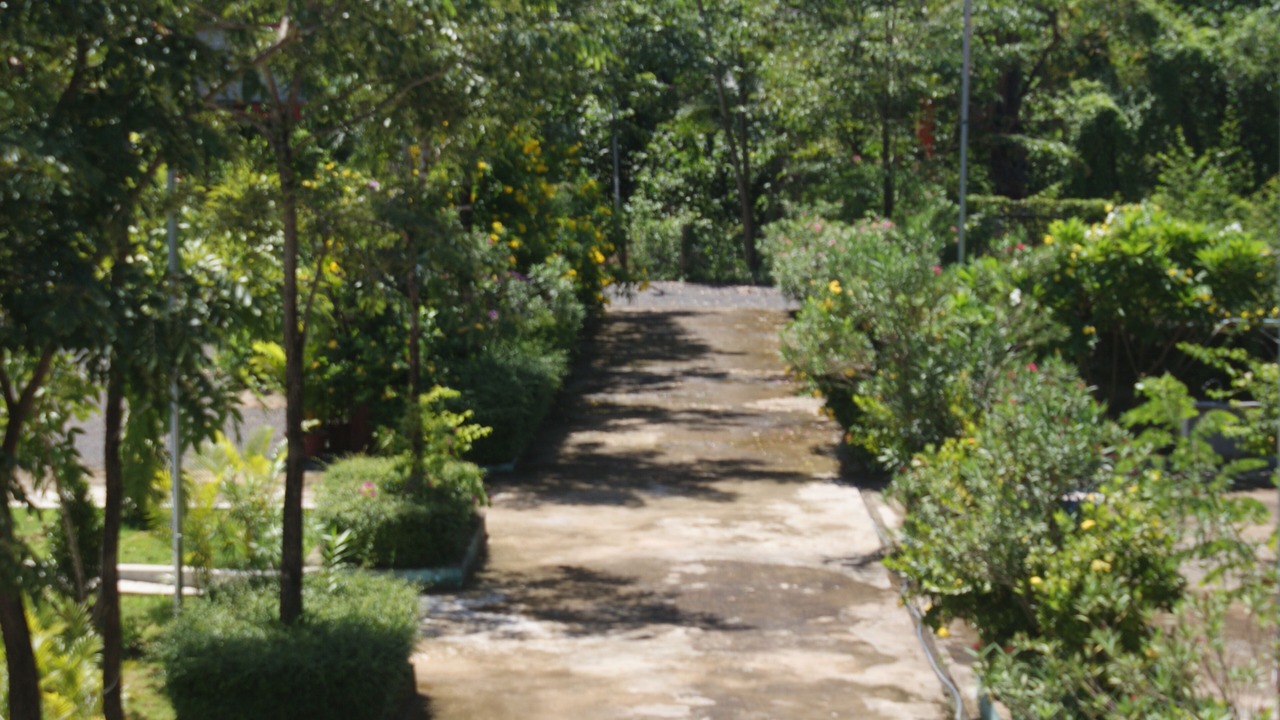 Photo of Outdoor in Kampot