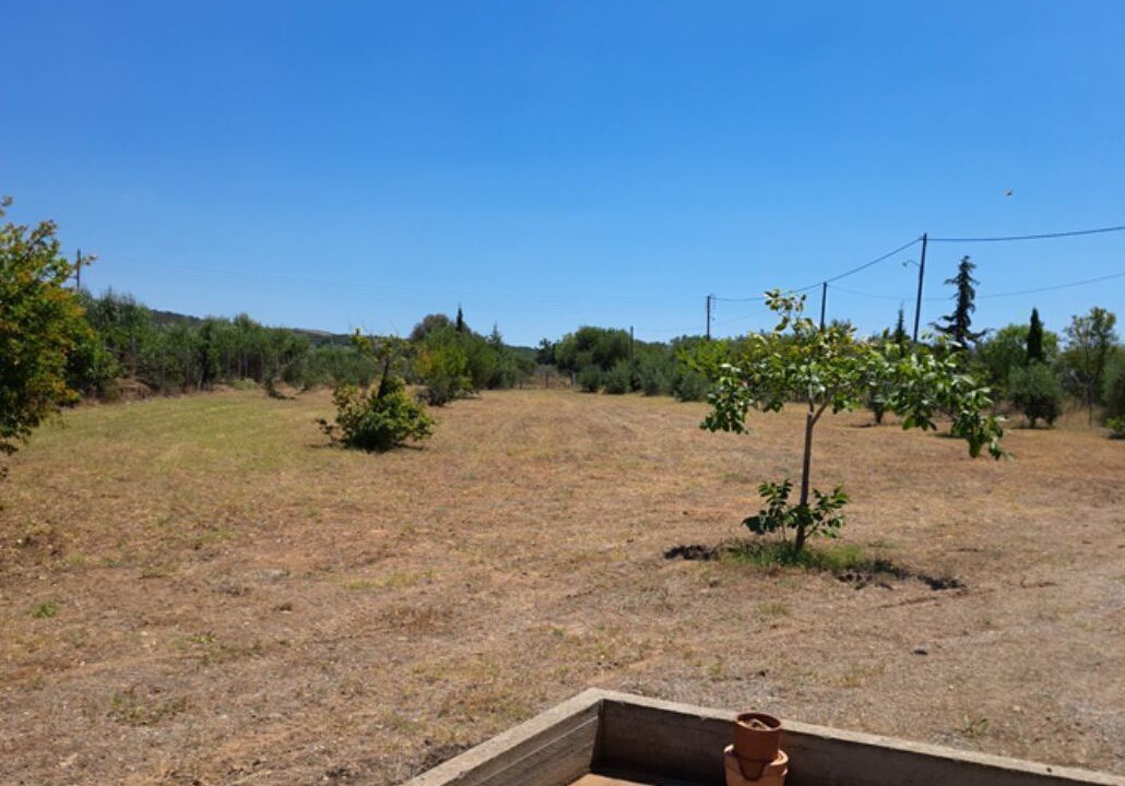 Photo of Outdoor in Alexandroupoli