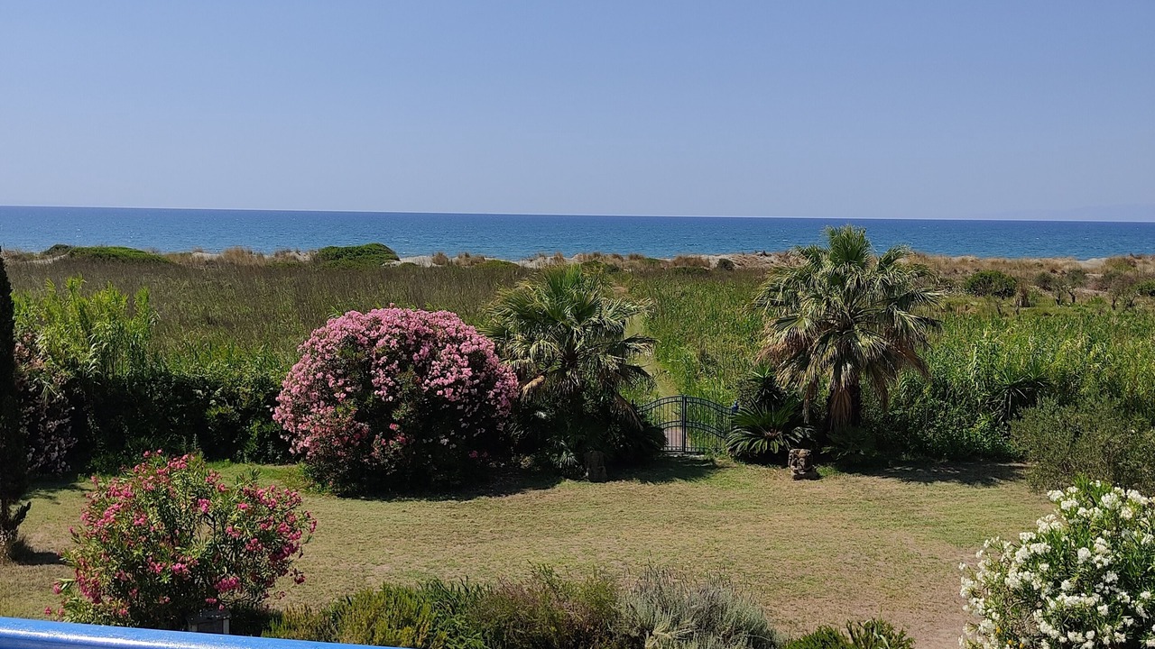 Photo of Outdoor in Aloizianika