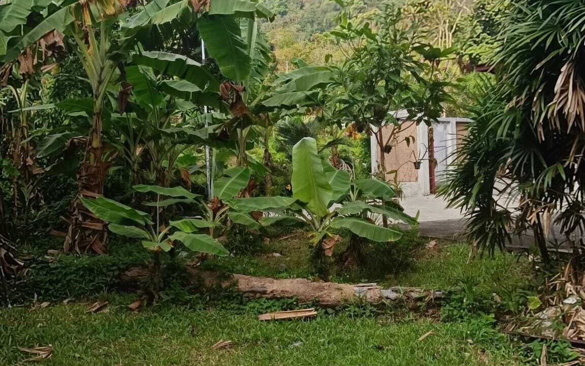 Photo of Outdoor in Kamala