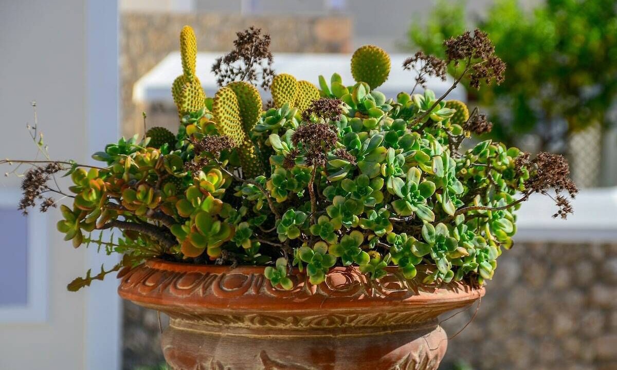 Photo of Outdoor in Spetses