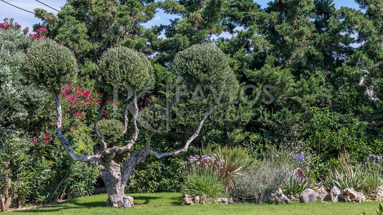 Photo of Outdoor in Prasas