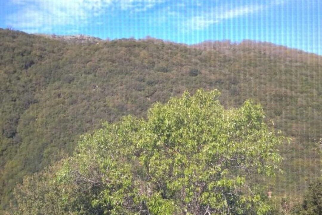 Photo of Others in Souli