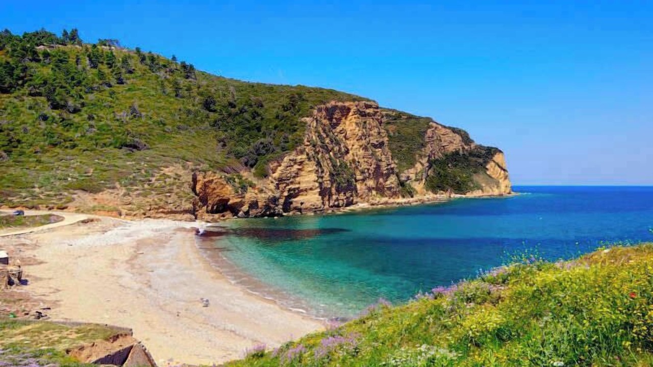 Photo of Others in Paradise Beach