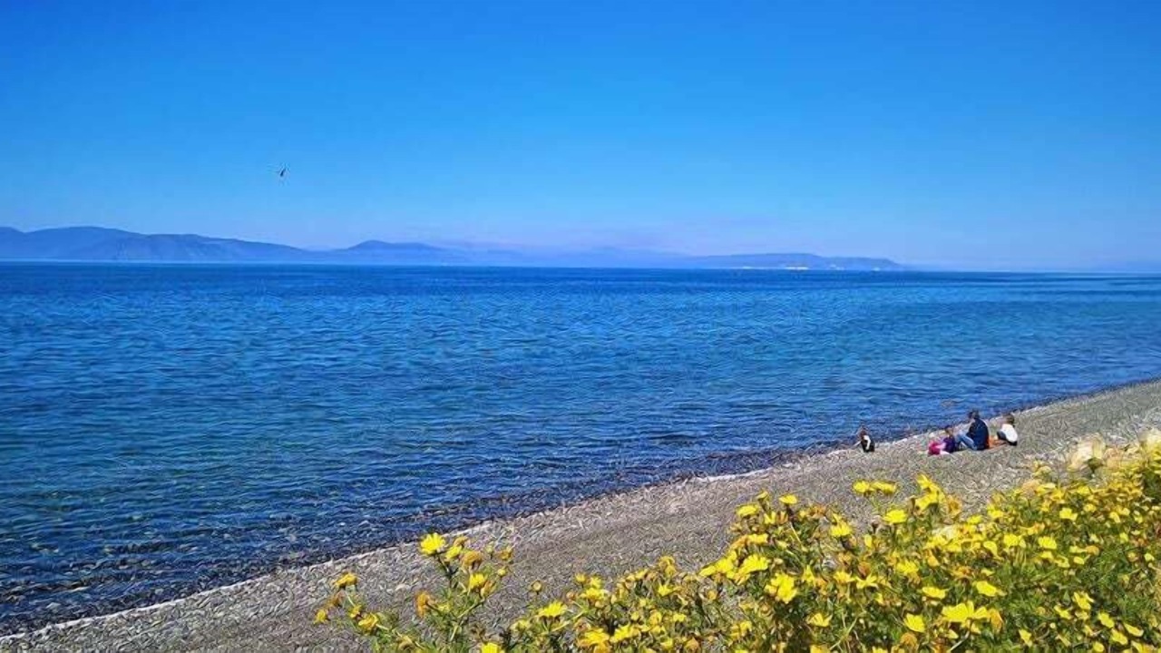 Photo of Others in Paradise Beach