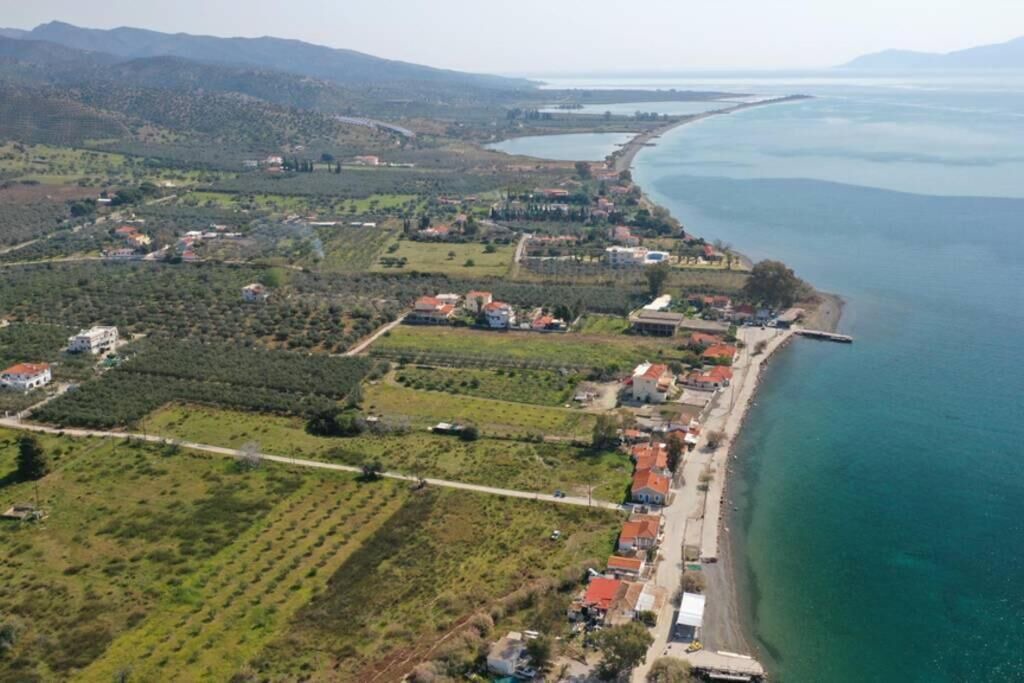 Photo of Outdoor in Plepi