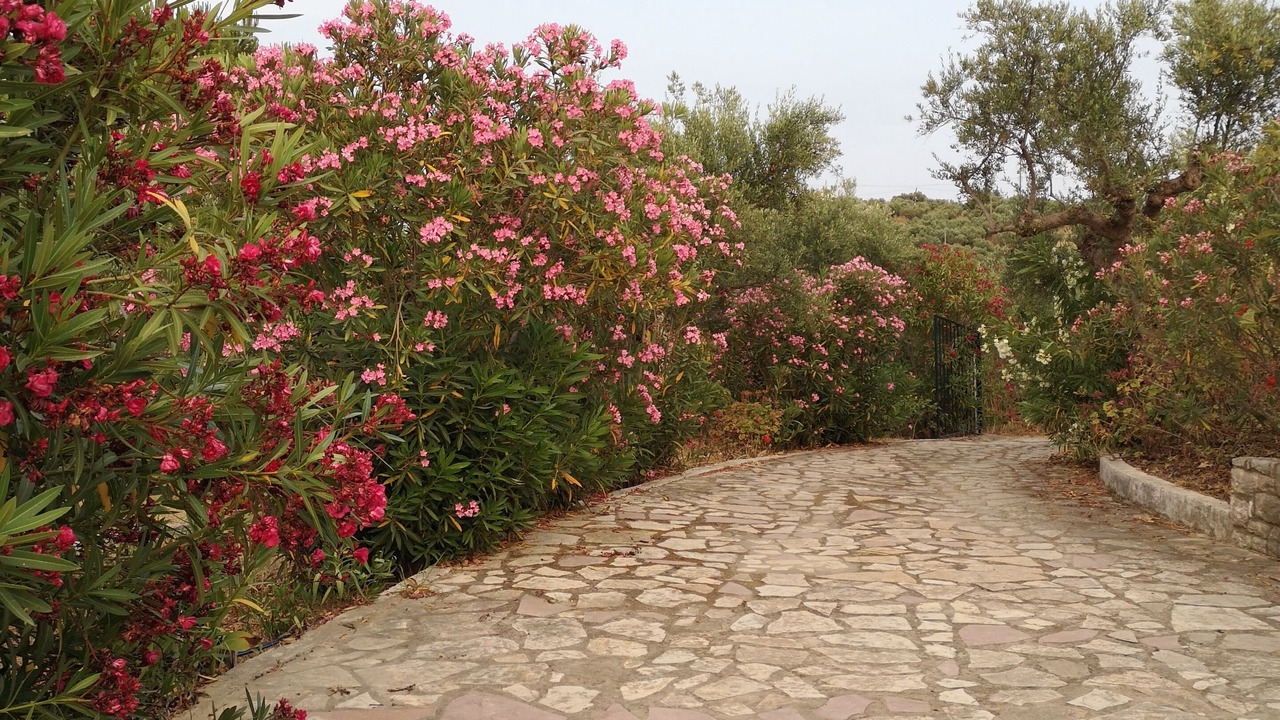 Photo of Outdoor in Pylos-Nestoras
