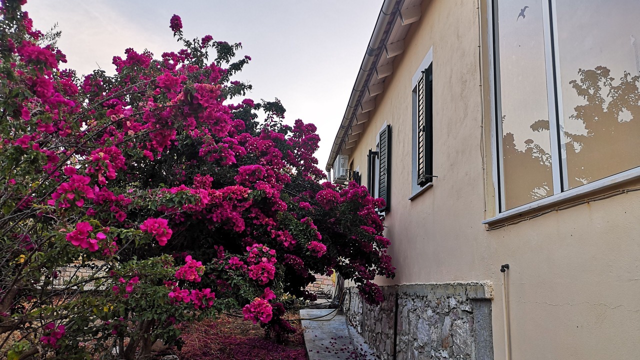 Photo of Outdoor in Pylos-Nestoras