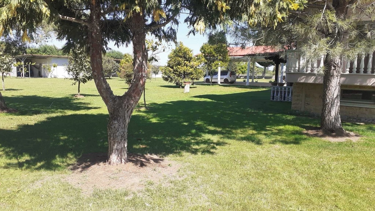 Photo of Outdoor in Katerini