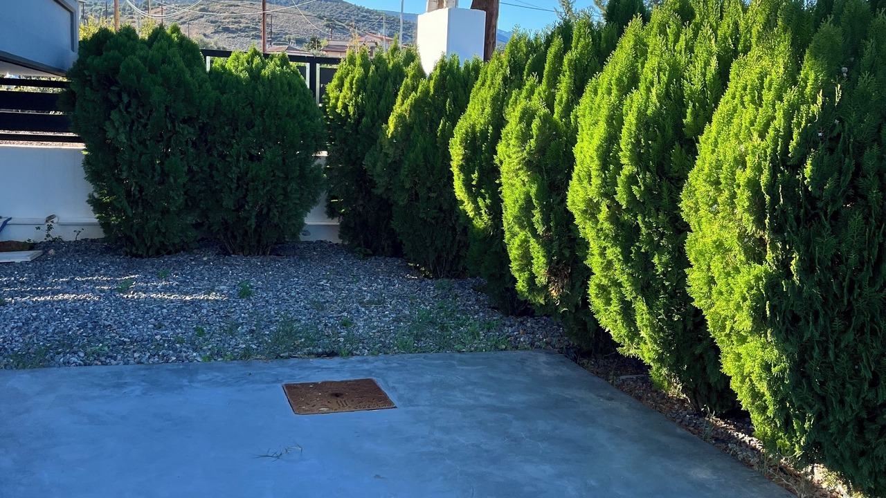 Photo of Outdoor in Mili