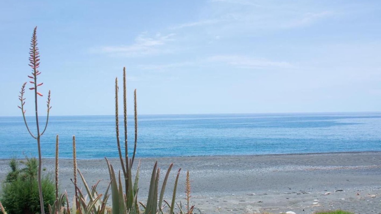 Photo of Others in Myrtos