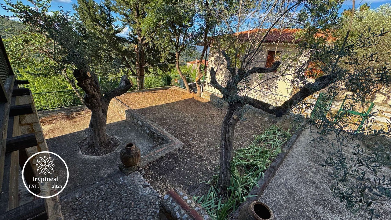 Photo of Outdoor in Tripi