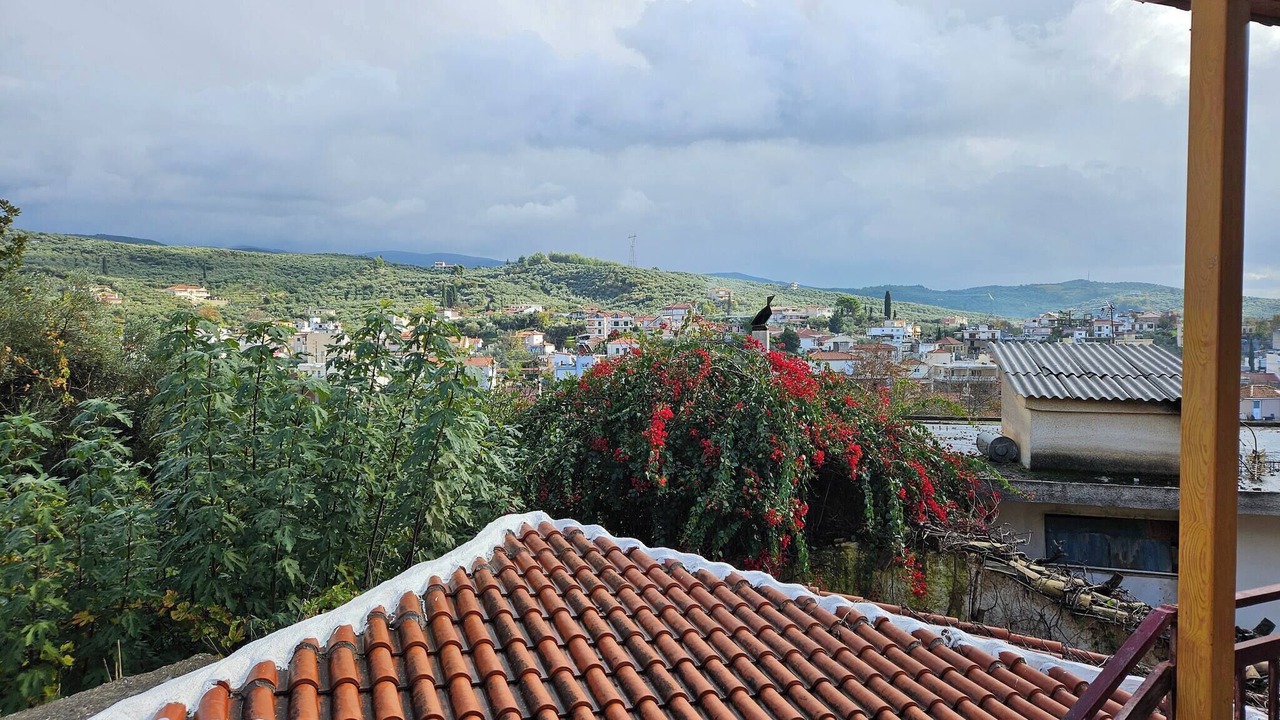 Photo of Outdoor in Zakharo