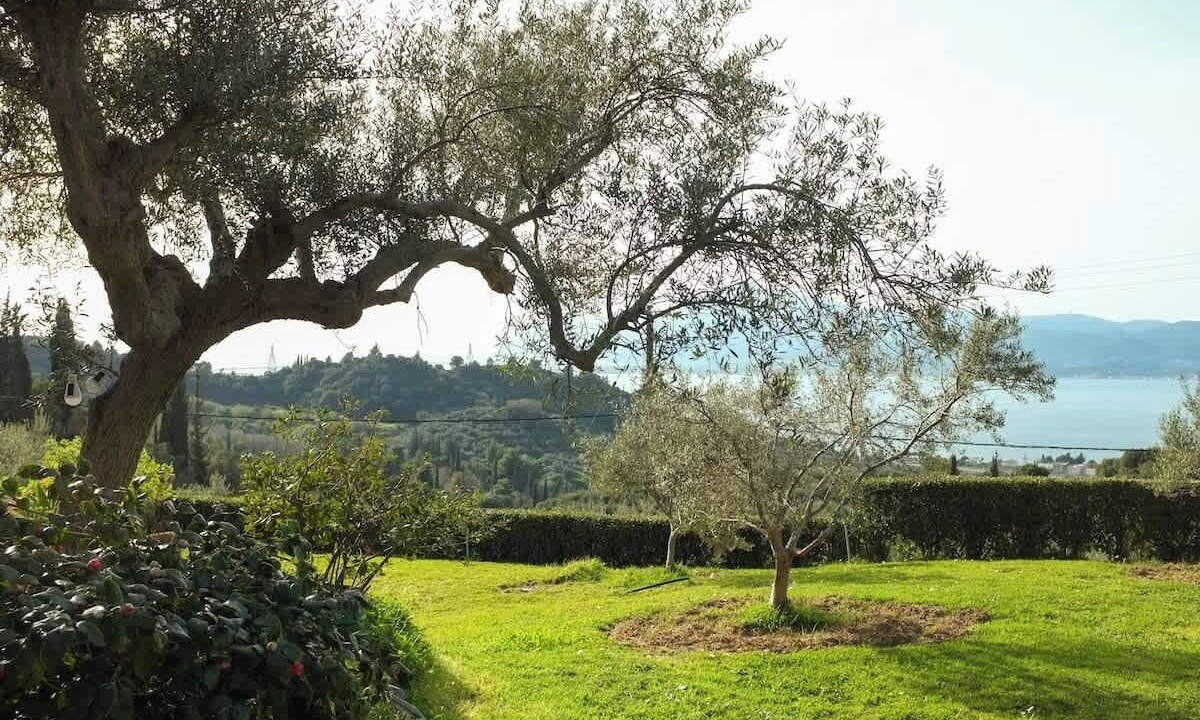 Photo of Outdoor in Drepano