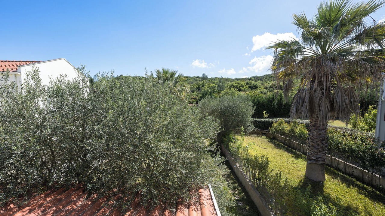 Photo of Outdoor in Haniotis