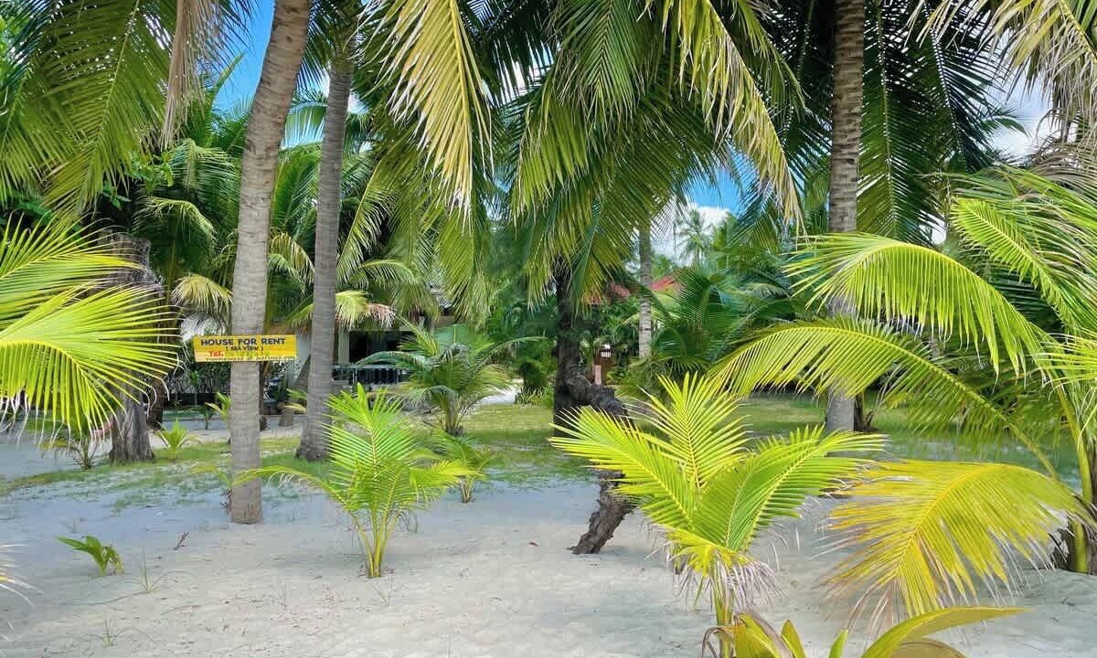 Photo of Outdoor in Na Thon
