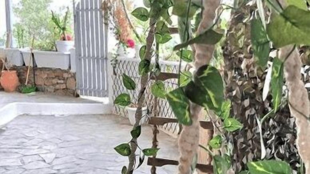 Photo of Outdoor in Agios Ioannis
