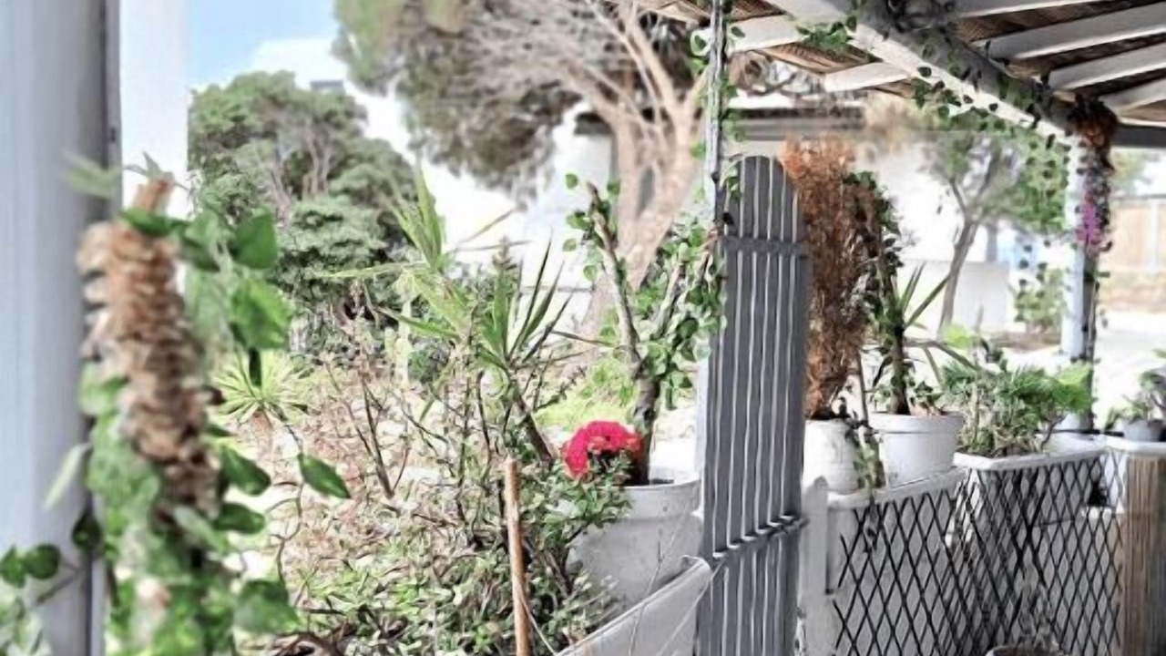 Photo of Outdoor in Agios Ioannis