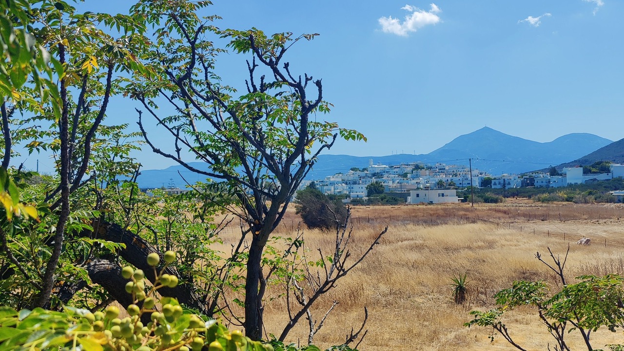 Photo of Others in Adamas