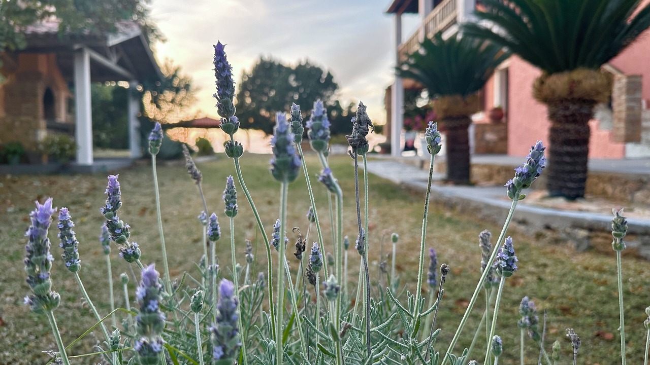 Photo of Outdoor in Kanelion