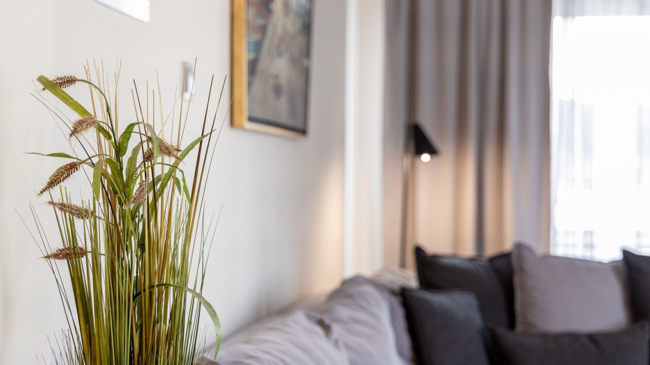Photo of Livingroom in Pasalimani