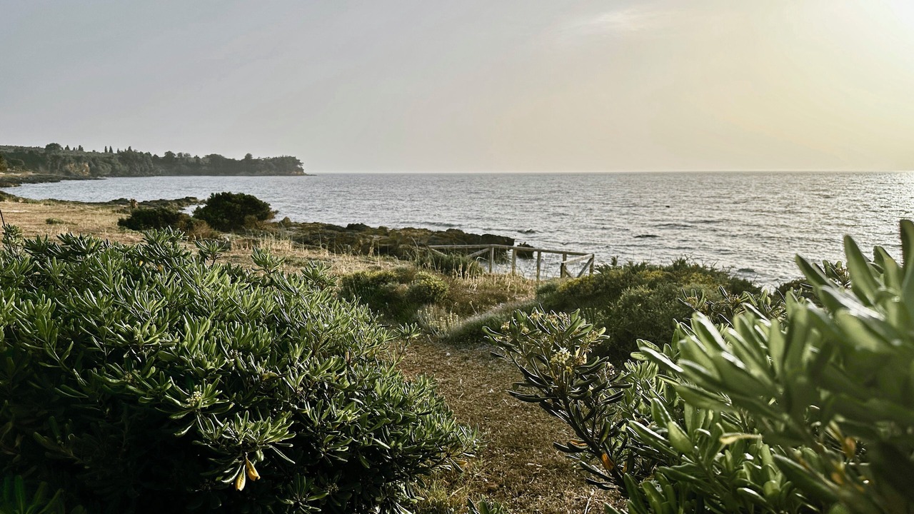 Photo of Others in Kanelion