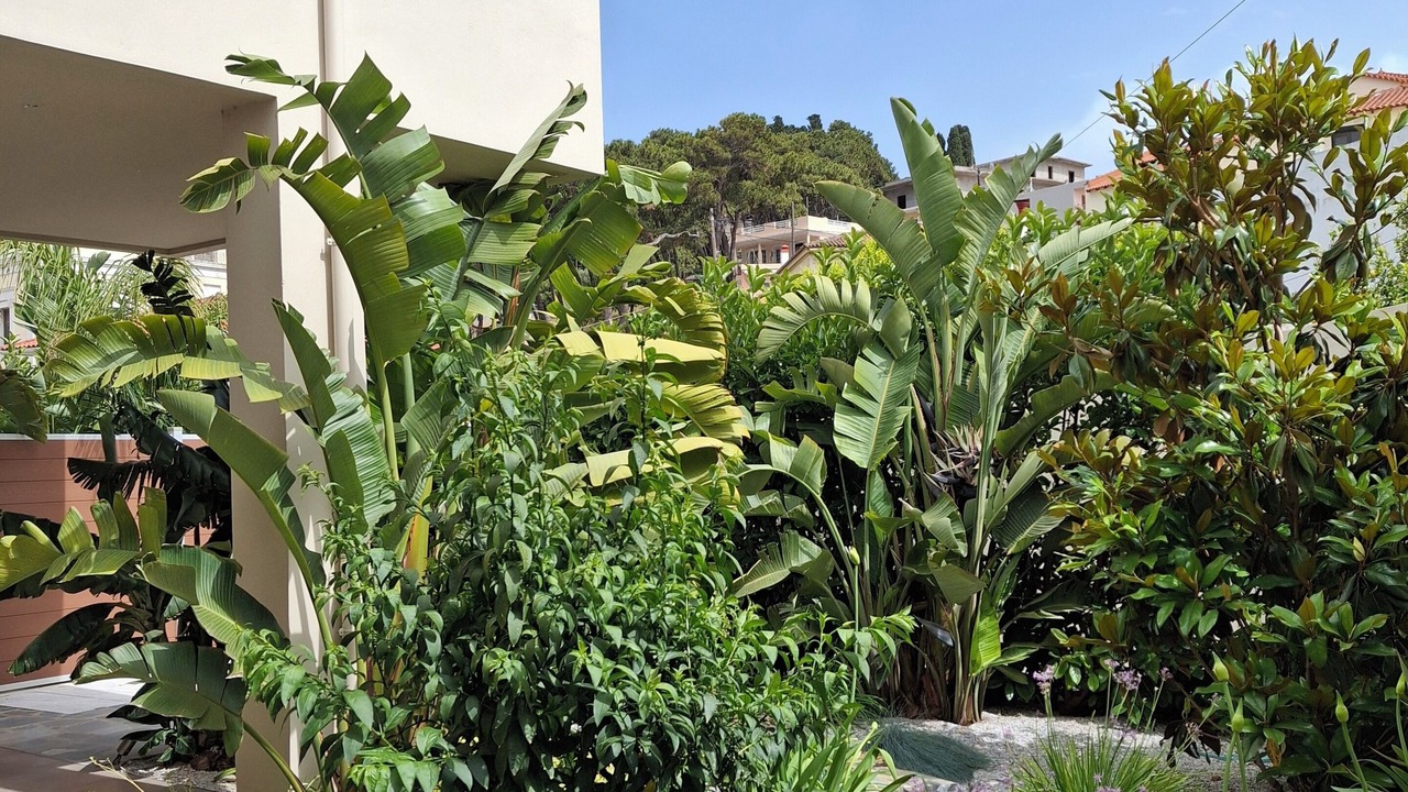 Photo of Patio Balcony in Karlovassi