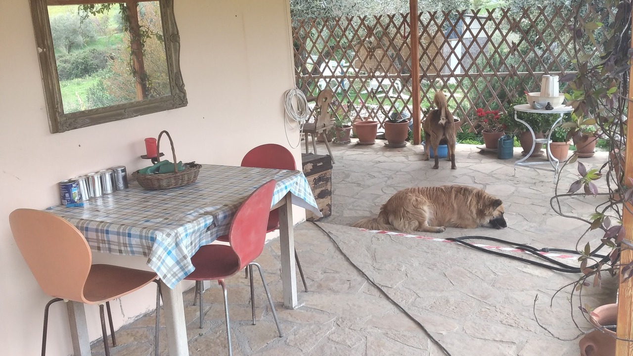 Photo of Outdoor in Raches