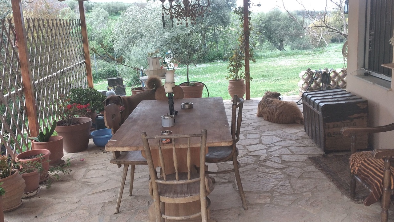 Photo of Outdoor in Raches