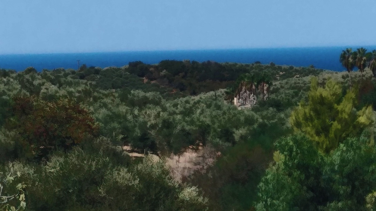 Photo of Others in Raches