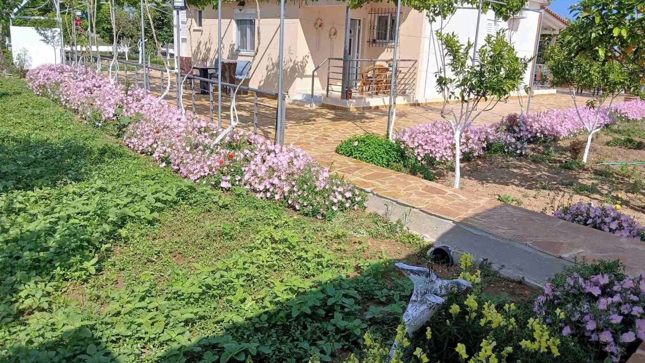 Photo of Outdoor in Pineios