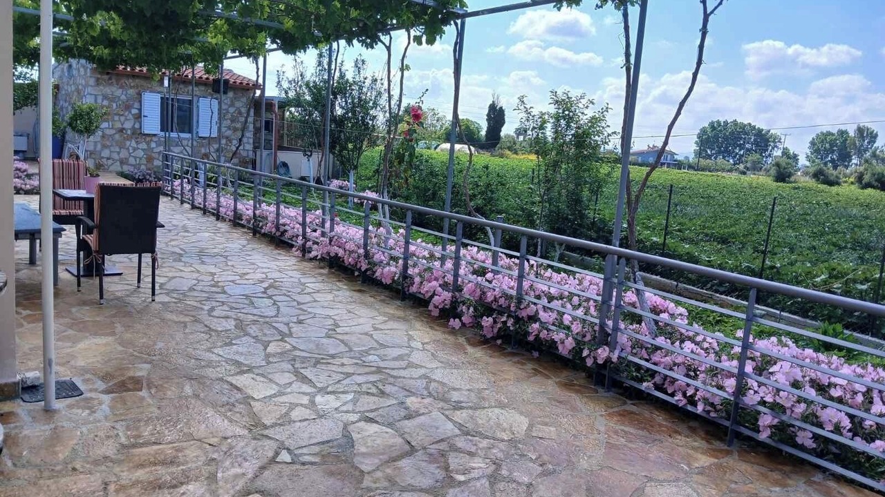 Photo of Outdoor in Pineios