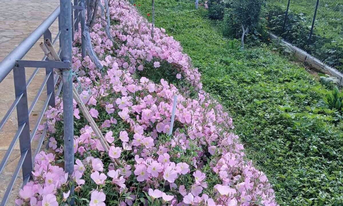 Photo of Outdoor in Pineios