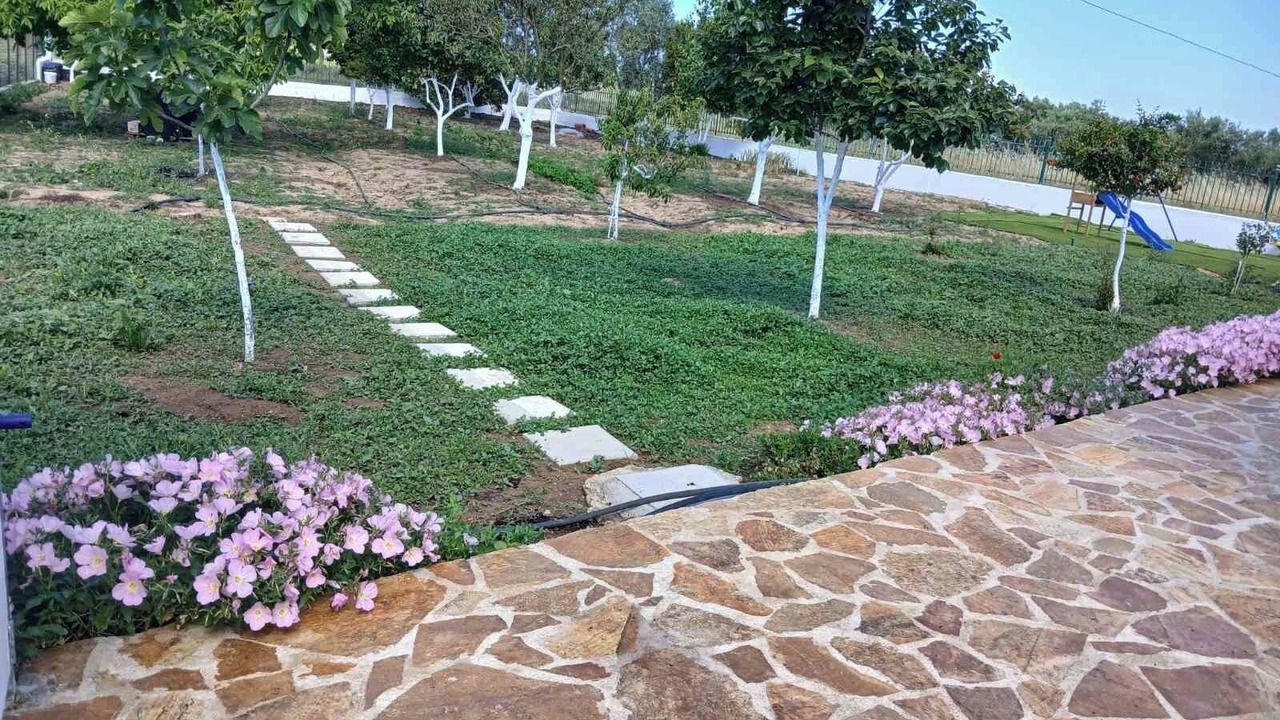 Photo of Outdoor in Pineios
