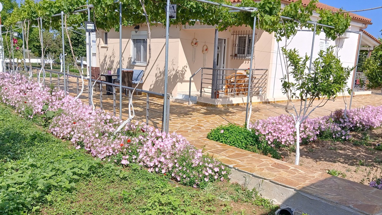 Photo of Outdoor in Pineios